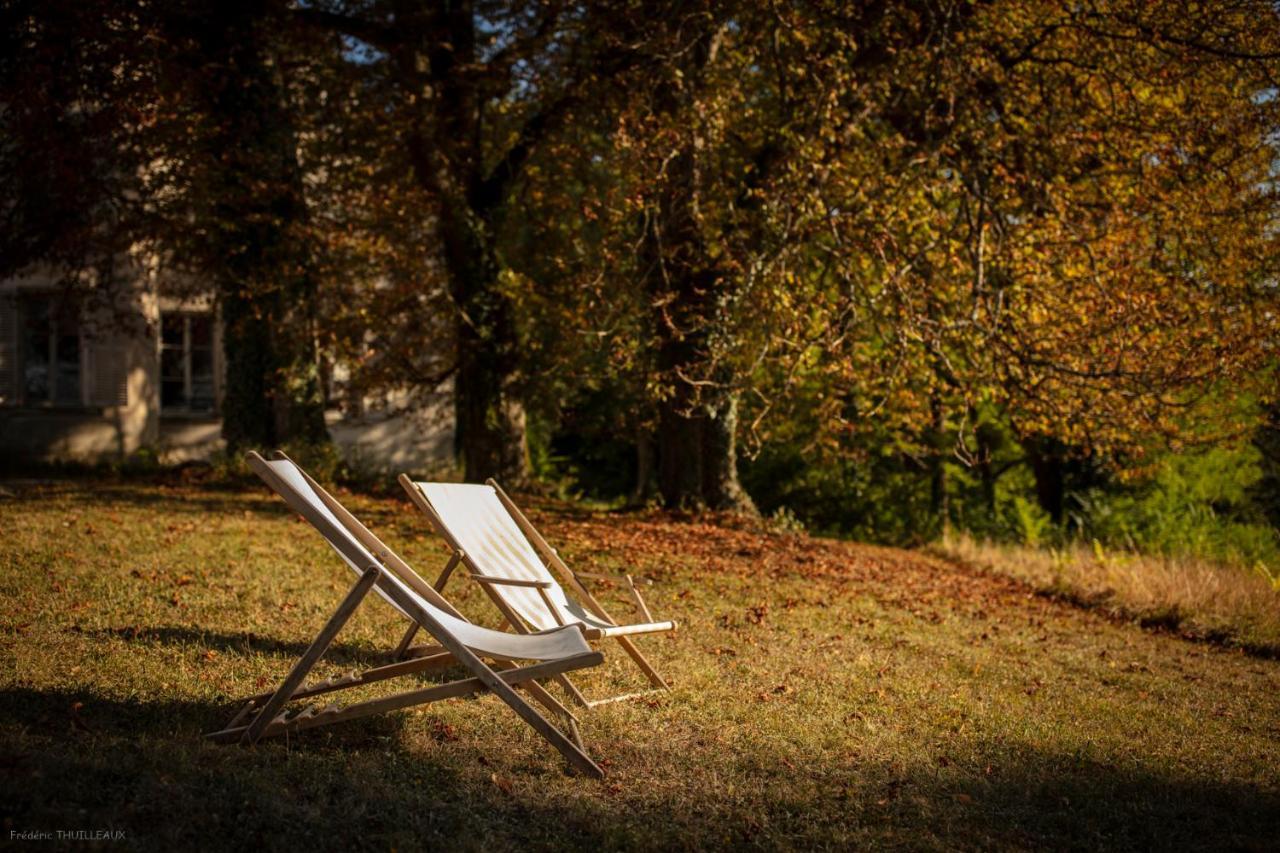 Chateau De Charnizay エクステリア 写真