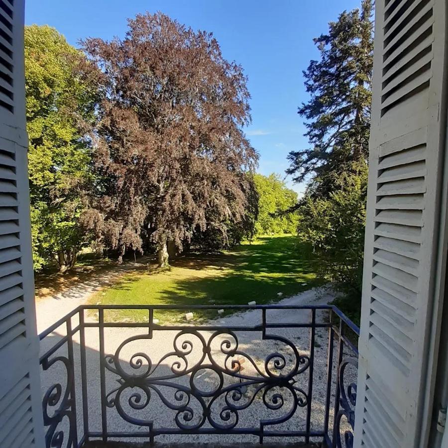 Chateau De Charnizay エクステリア 写真